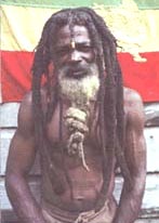 MAN RASTA MAN